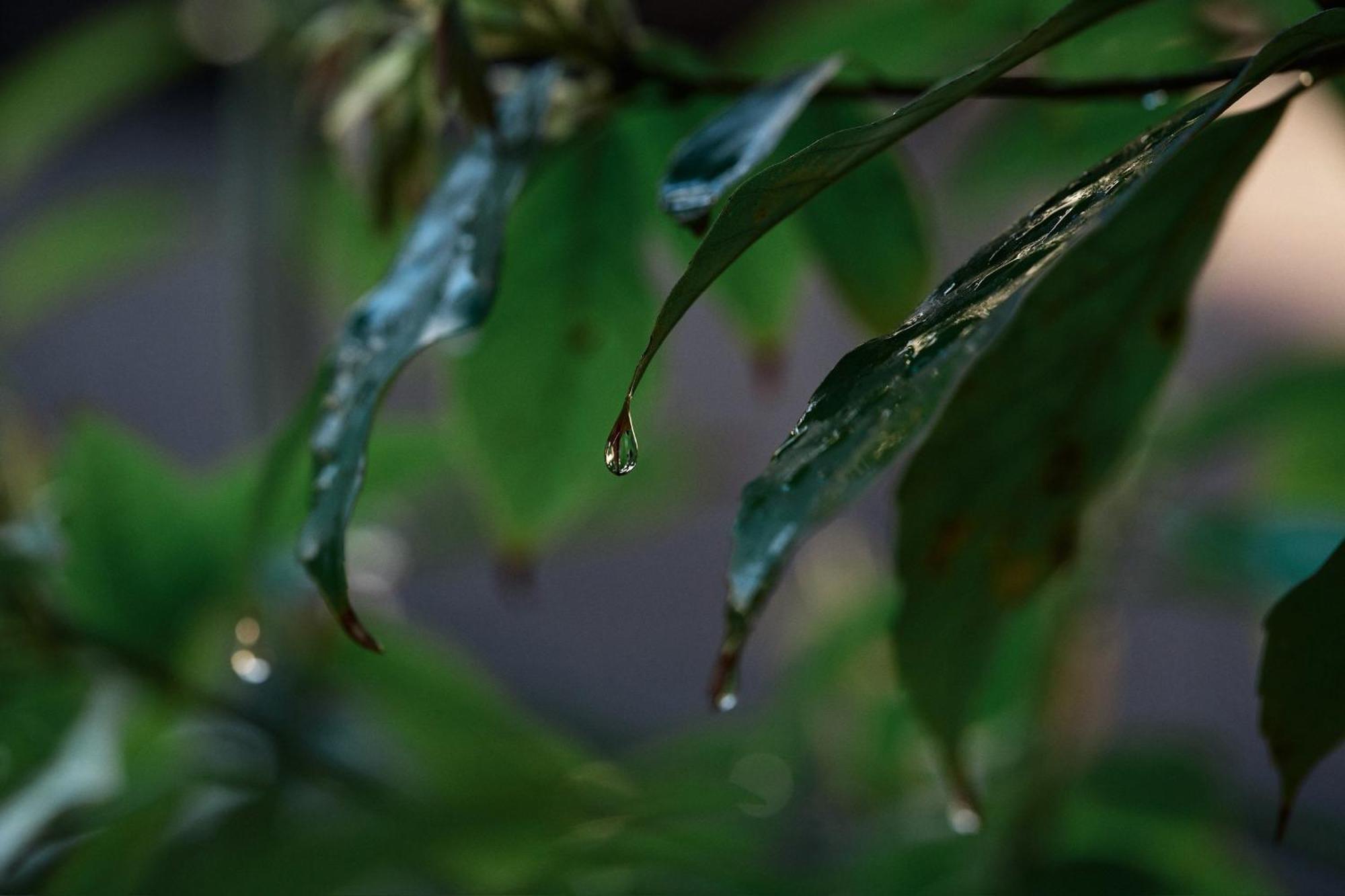 Unsui 武雄蓬莱町 雲水 Apartman Kültér fotó